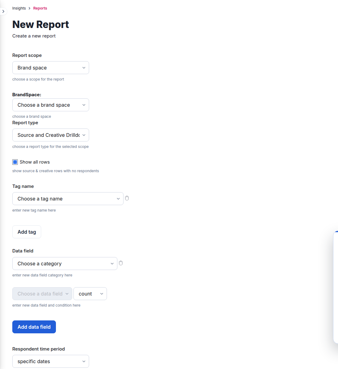 Current Source and Creative Drilldown report form for Brand space scope
