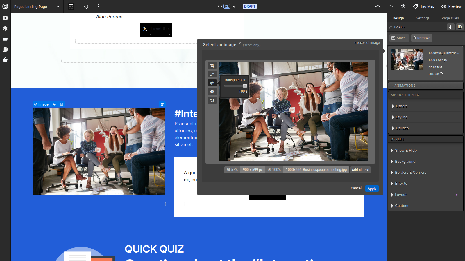 Adjust transparency in the current Ion image editor