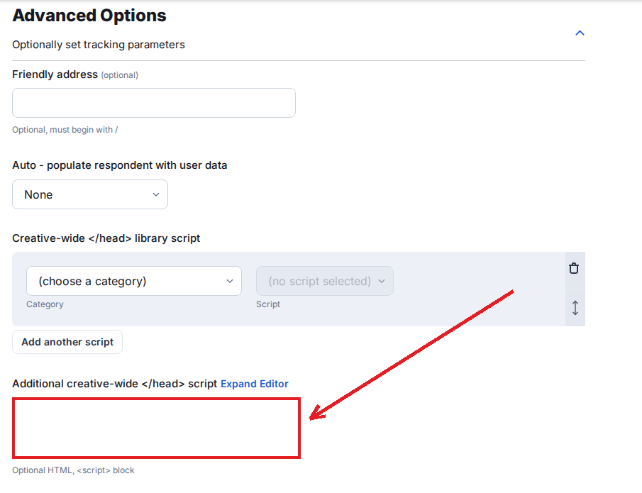 Ion creative Advanced Options expanded, showing the Additional creative-wide head script field