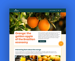 interactive-experience-template|||